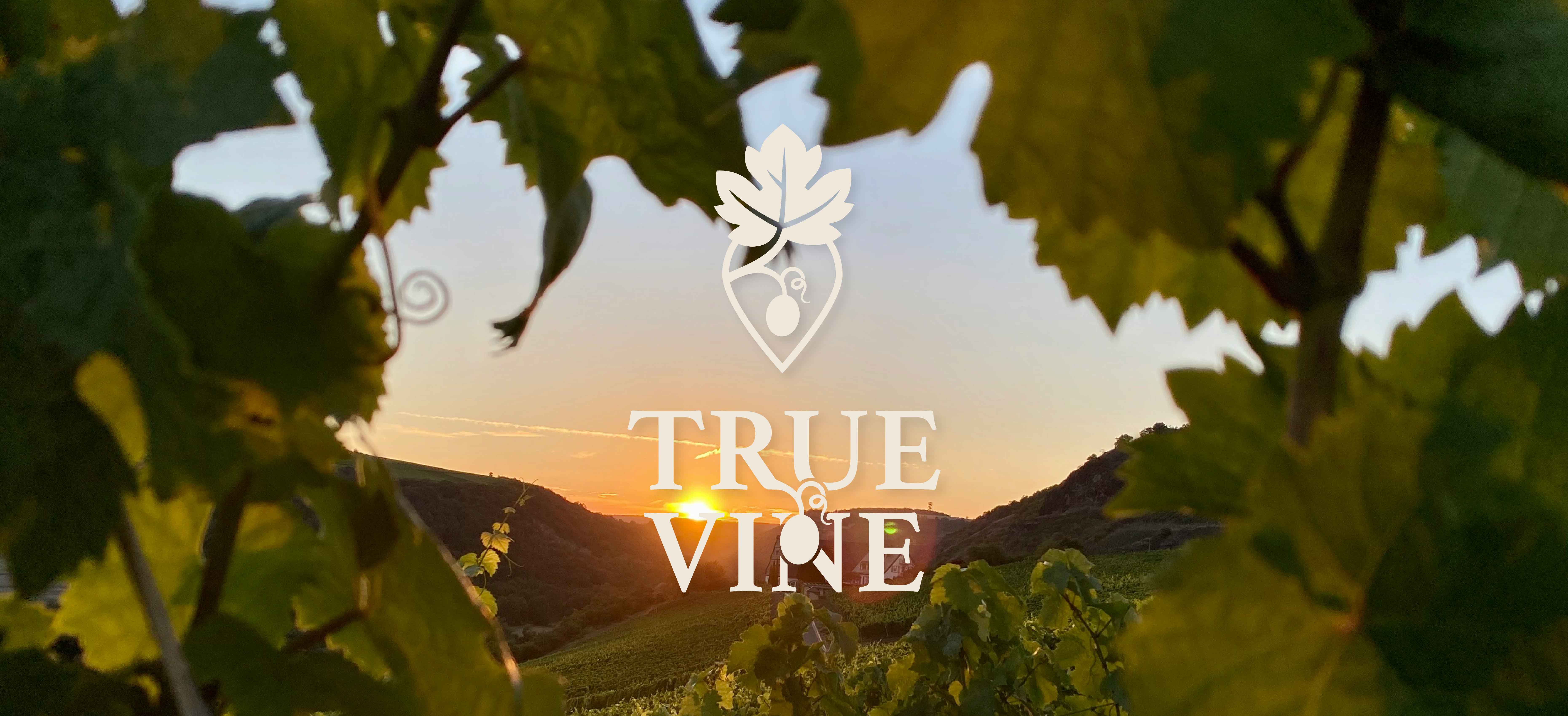 True Vine